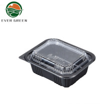 Disposable Take Out Rectangular PS Plastic Food Container